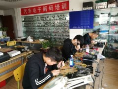小黄片操逼大鸡巴操